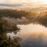 Chant d’Amour à la Mère